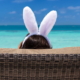 bunny ears on the beach