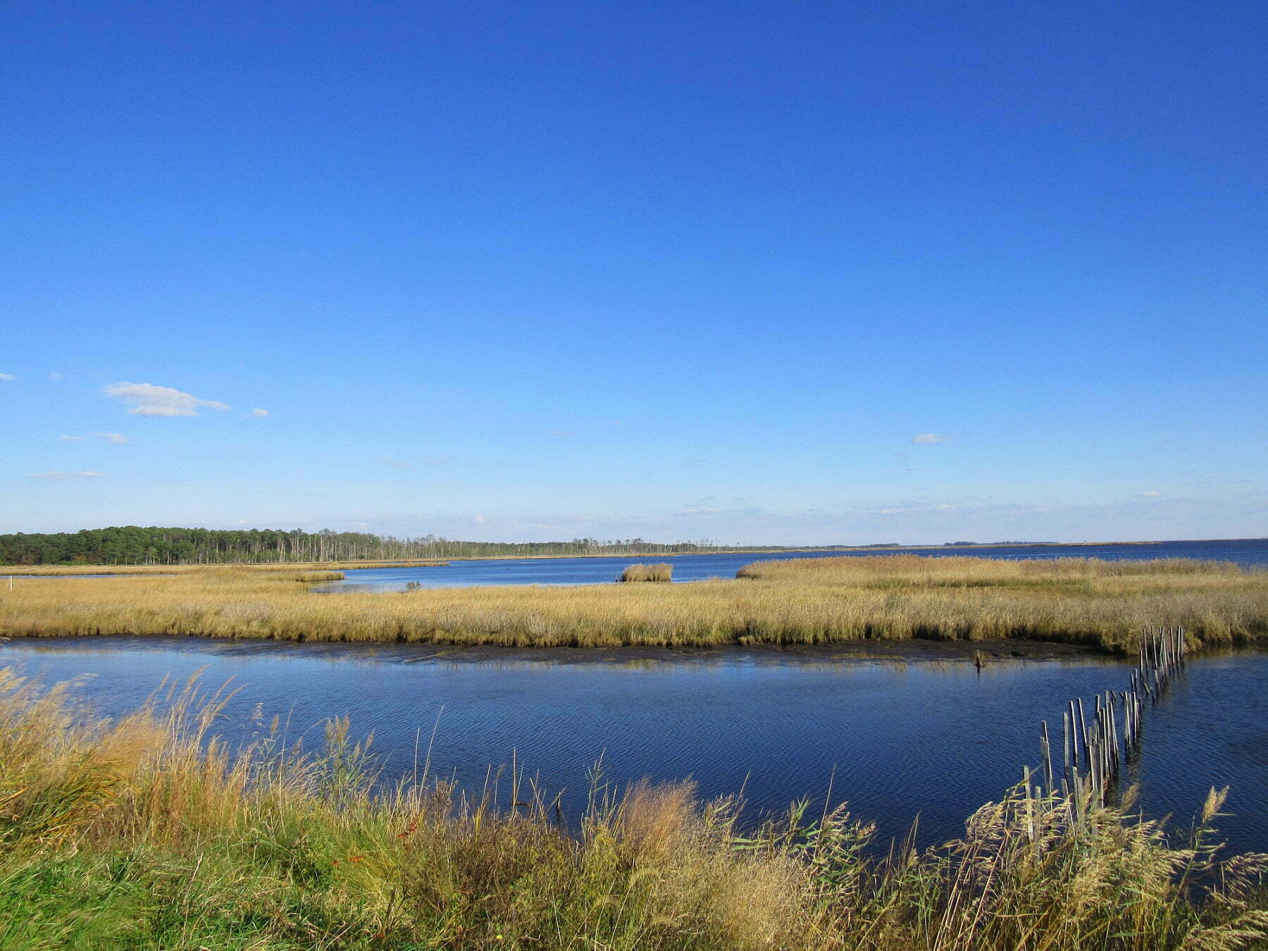 What Are the Best Things to Do on Kent Island, MD? Eastern Shore VR